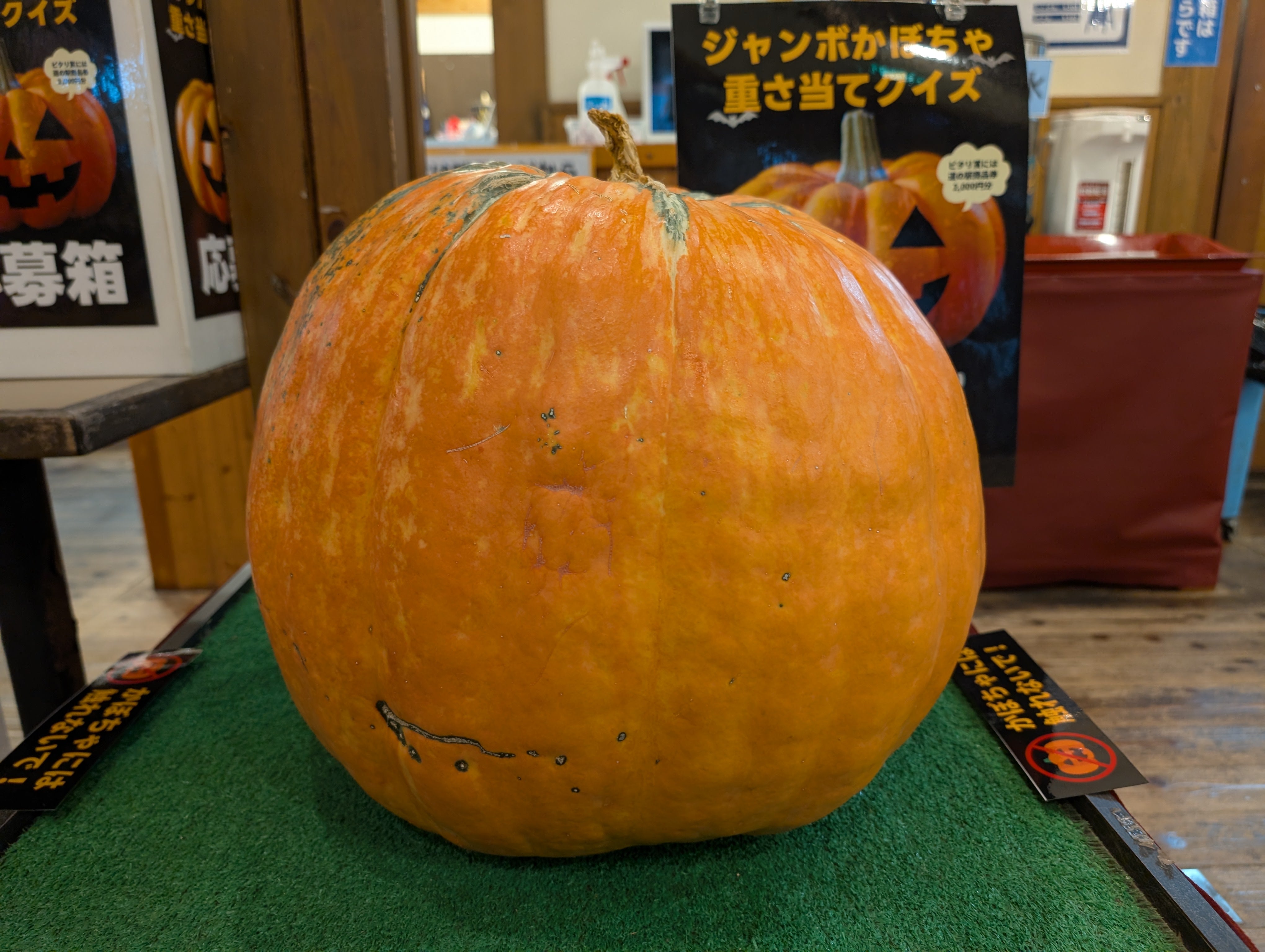 正解発表】ジャンボかぼちゃの重さ当てクイズ – 蛍街道西ノ市
