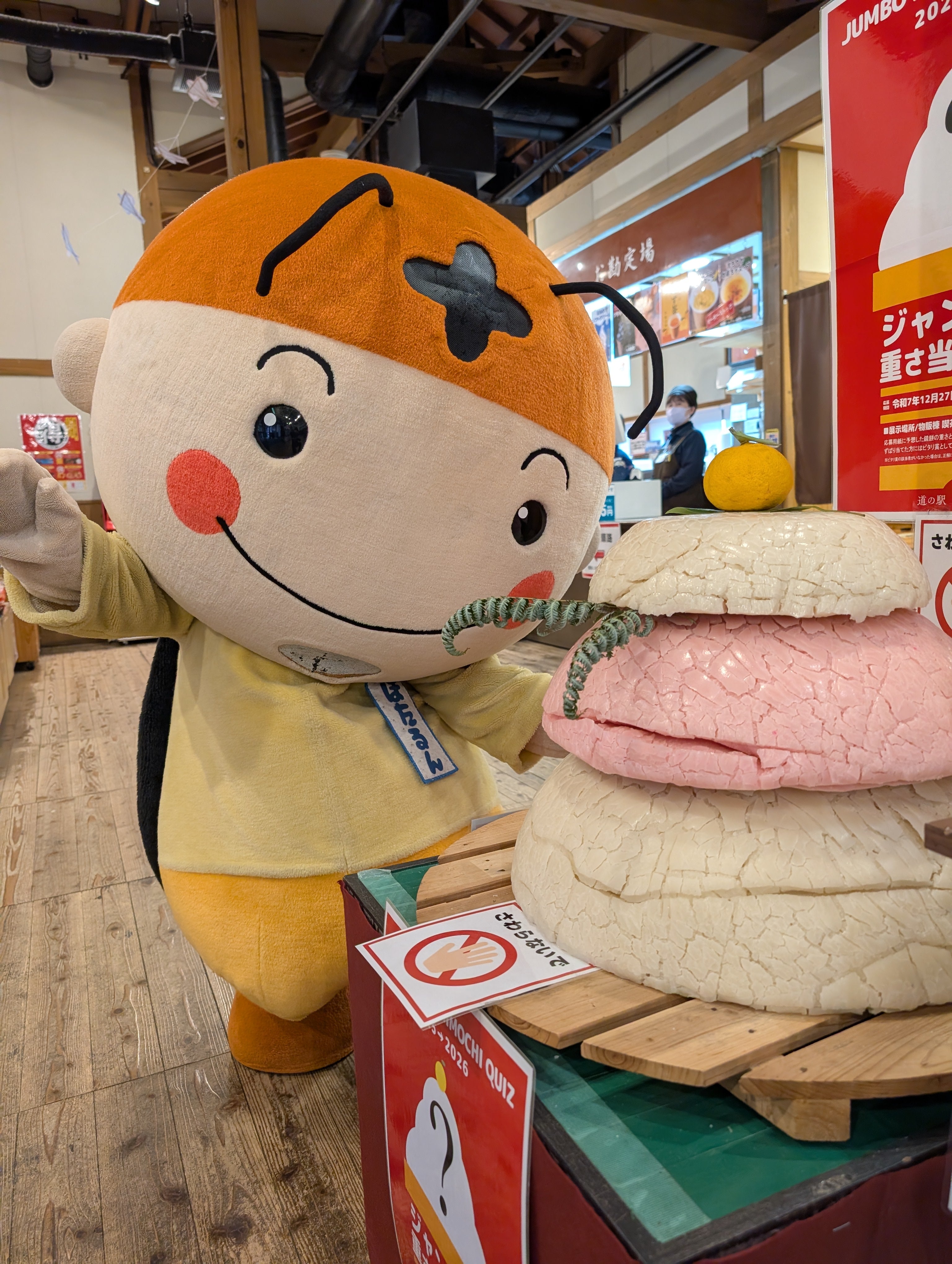 おもち 正解発表】ジャンボ鏡餅の重さ当てクイズ – 蛍街道西ノ市