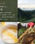 生はちみつセット