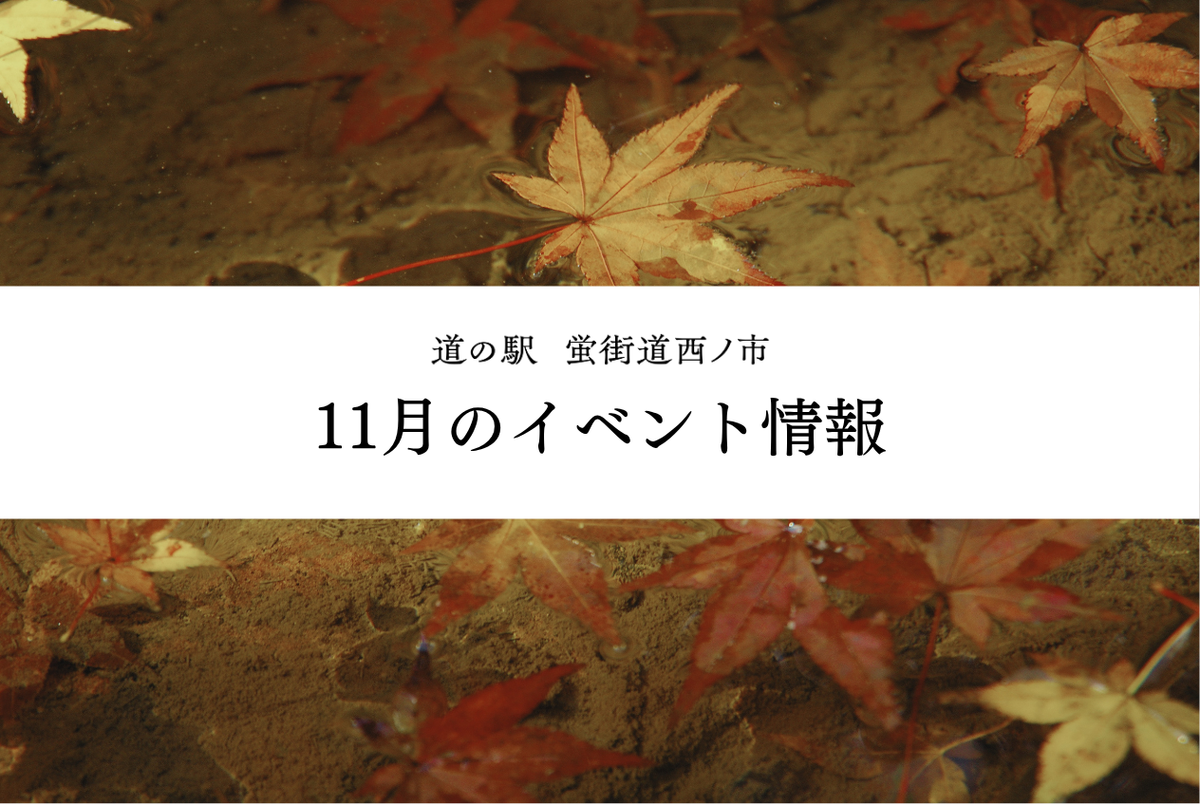 蛍街道西ノ市｜11月のイベント情報