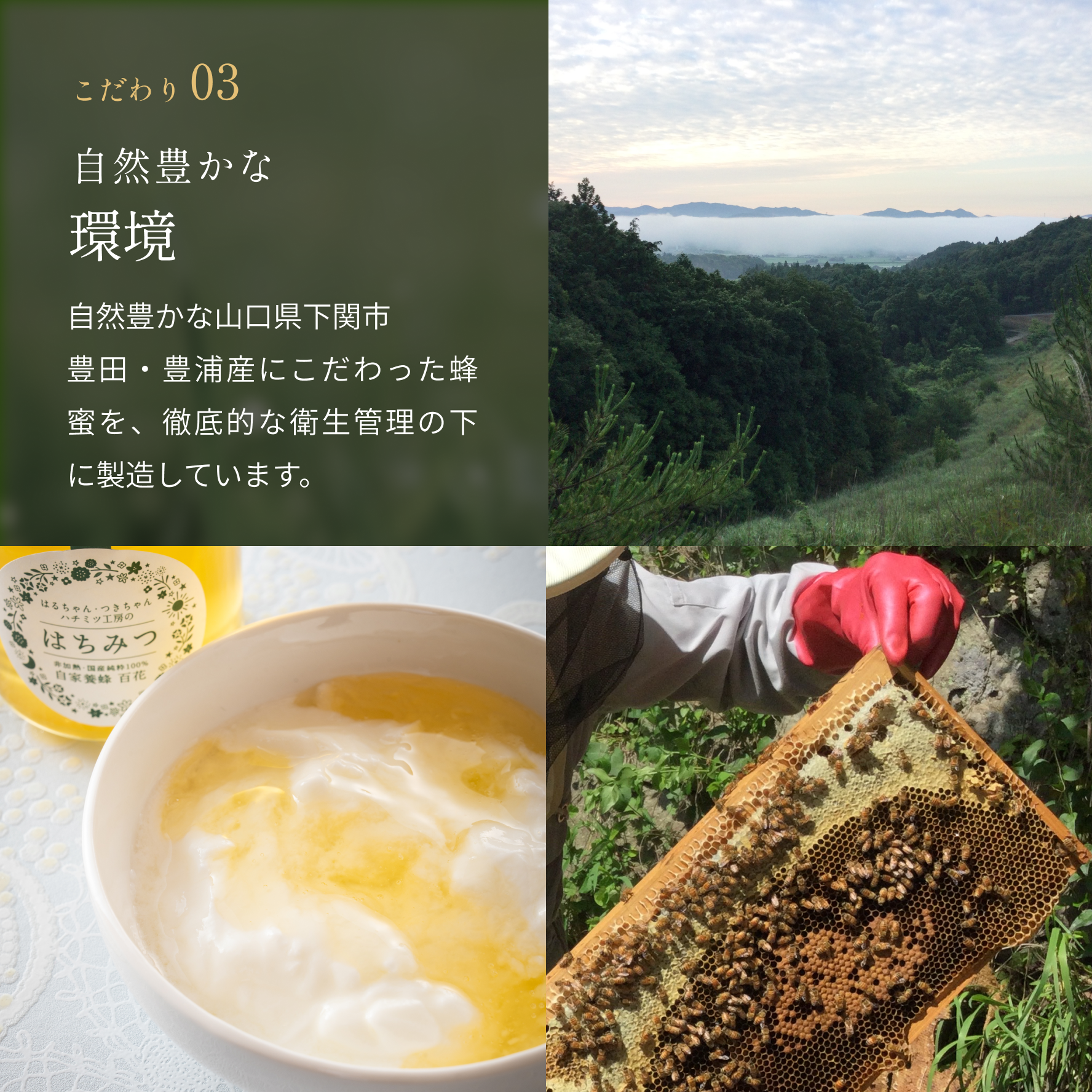 生はちみつセット – 蛍街道西ノ市 生はちみつセット – 蛍街道西ノ市