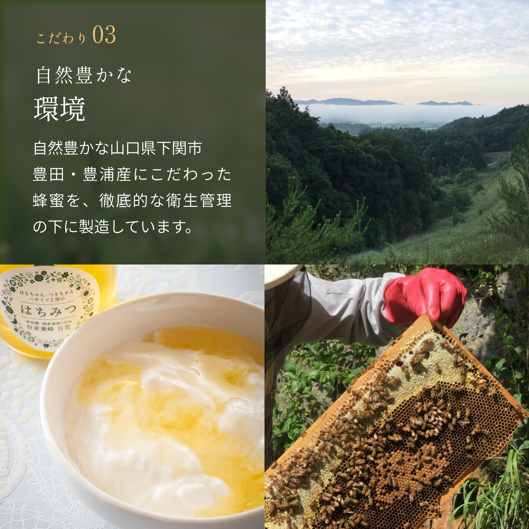 生はちみつ(チューブ) – 蛍街道西ノ市 生はちみつ(チューブ) – 蛍街道西ノ市